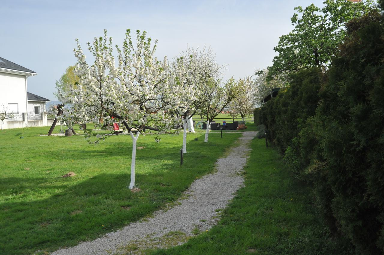 Bed and Breakfast Klet Cinkus Hrvatski Leskovac Экстерьер фото